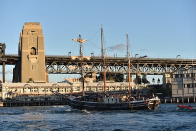 DSC_7360.JPG