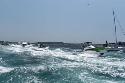 DSC_1776.JPG