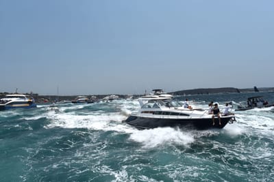 DSC_1778.JPG