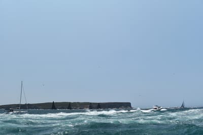 DSC_1779.JPG