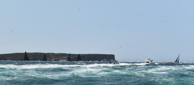 DSC_1780.JPG