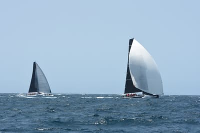 DSC_2365.JPG