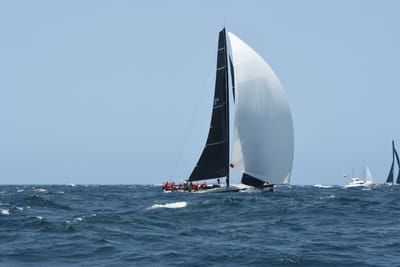 DSC_2366.JPG