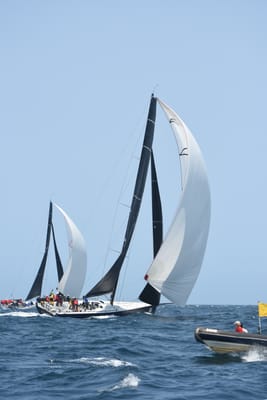 DSC_2372.JPG