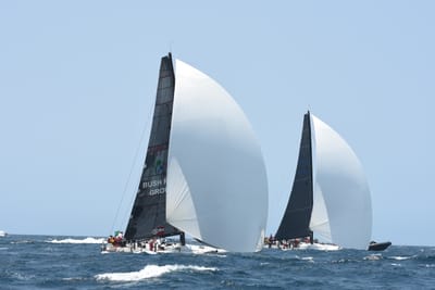 DSC_2373.JPG
