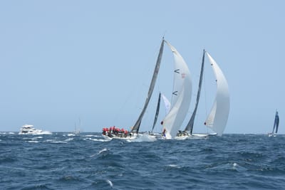 DSC_2376.JPG