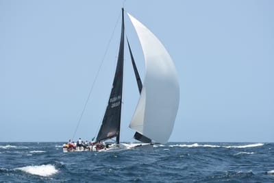 DSC_2377.JPG