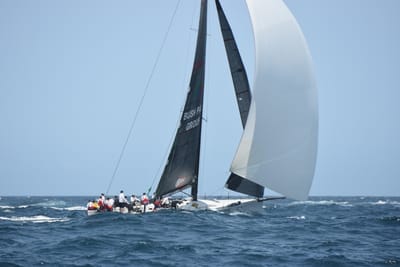 DSC_2378.JPG
