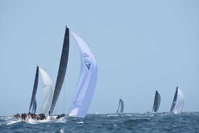 DSC_2379.JPG