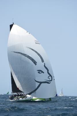 DSC_2392.JPG