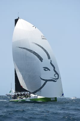 DSC_2393.JPG