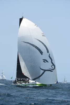DSC_2394.JPG