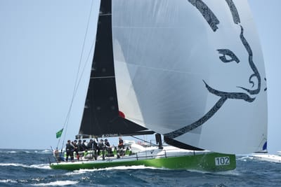 DSC_2395.JPG