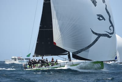 DSC_2396.JPG