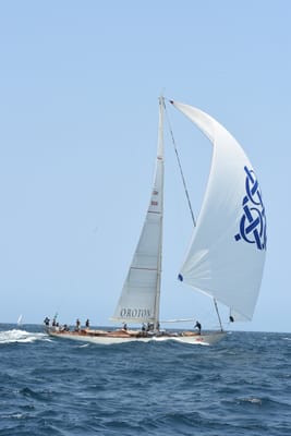 DSC_2406.JPG