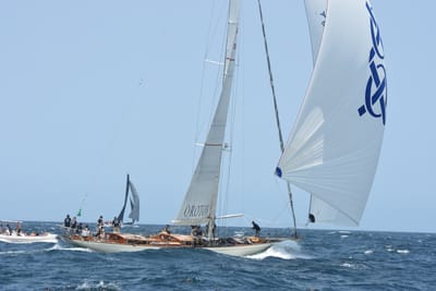 DSC_2409.JPG