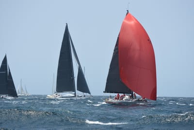 DSC_2410.JPG