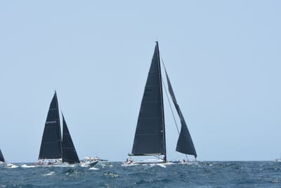 DSC_2411.JPG