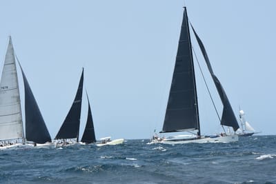 DSC_2414.JPG