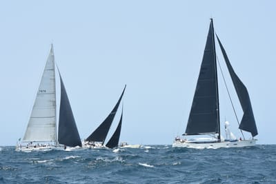 DSC_2415.JPG