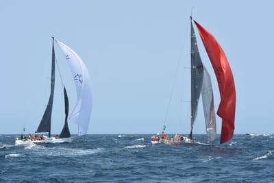 DSC_2416.JPG