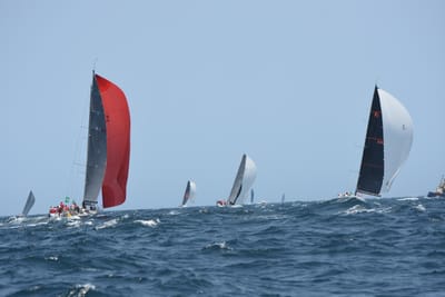 DSC_2420.JPG