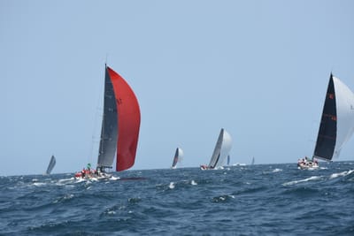 DSC_2421.JPG