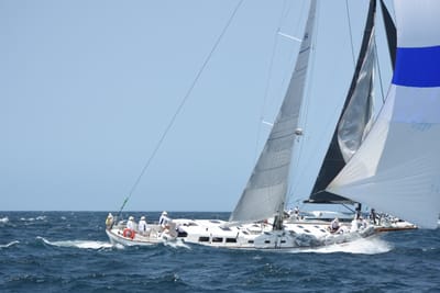 DSC_2424.JPG