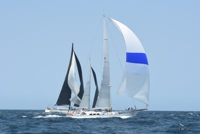 DSC_2425.JPG