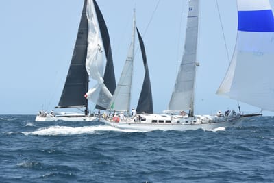 DSC_2426.JPG