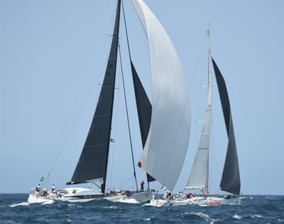 DSC_2436.JPG