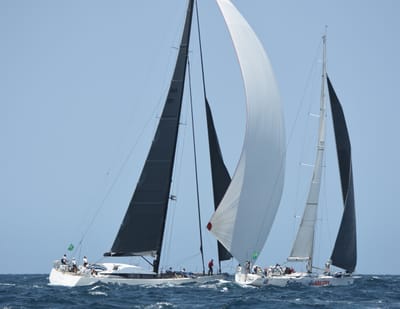 DSC_2437.JPG