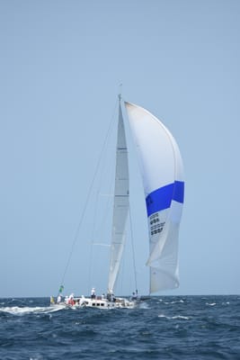 DSC_2438.JPG