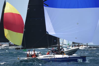DSC_2445.JPG