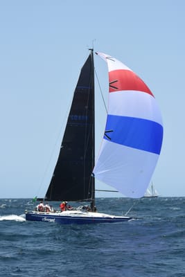 DSC_2446.JPG