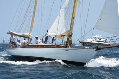 DSC_2462.JPG