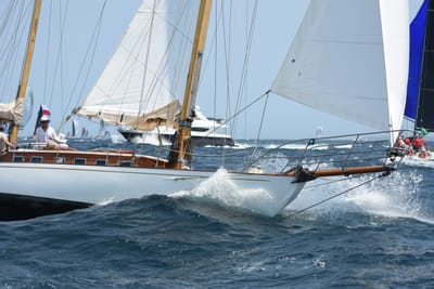 DSC_2463.JPG