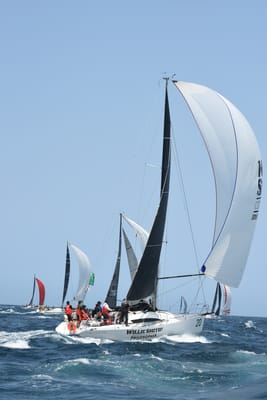 DSC_2466.JPG