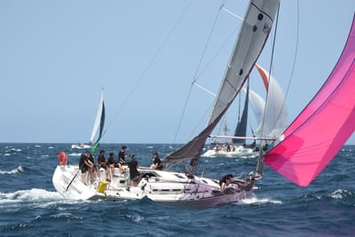 DSC_2470.JPG