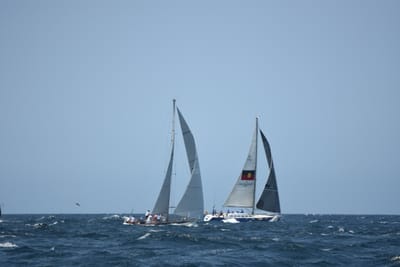 DSC_2472.JPG