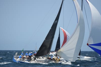 DSC_2473.JPG