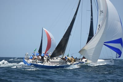 DSC_2474.JPG