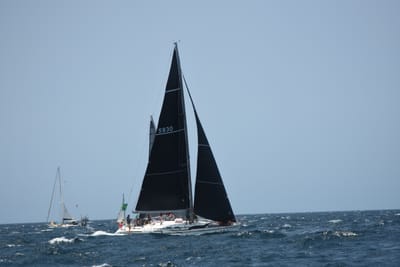 DSC_2477.JPG