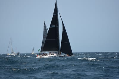 DSC_2478.JPG