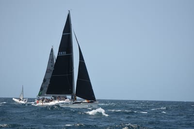 DSC_2479.JPG