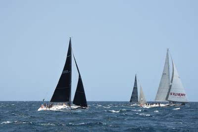 DSC_2485.JPG