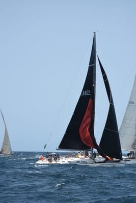 DSC_2486.JPG