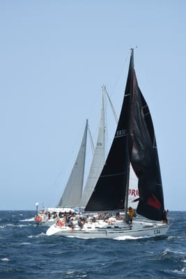 DSC_2487.JPG