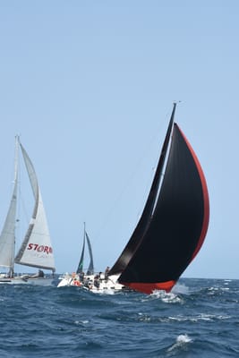DSC_2488.JPG