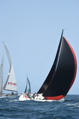 DSC_2489.JPG